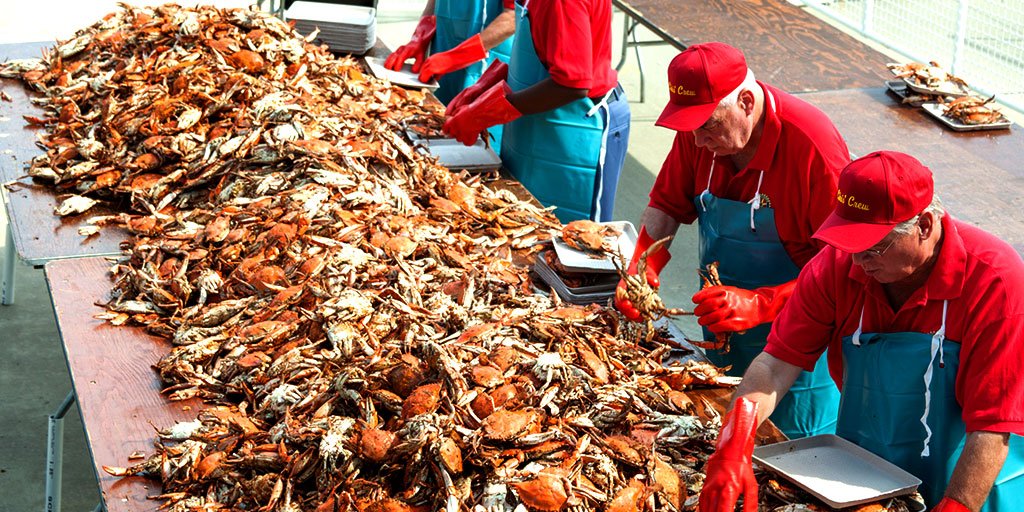 StateMaryland's tweet photo. <3 #Maryland crabs? There's no better place to be than the world's largest crab feast, today (8/4) in Annapolis https://t.co/rB6Q1cW4E1 https://t.co/uRwmjRmtRt