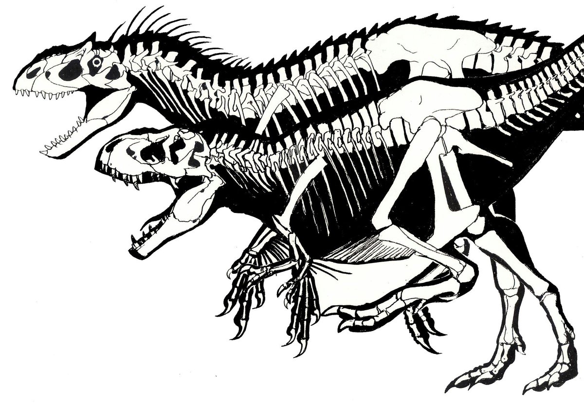 田中順也 古生物のしたたかな生き方 とりあえずジュラシックワールド記念なんでインドミナスとティラノサウルスの骨格図置いときます