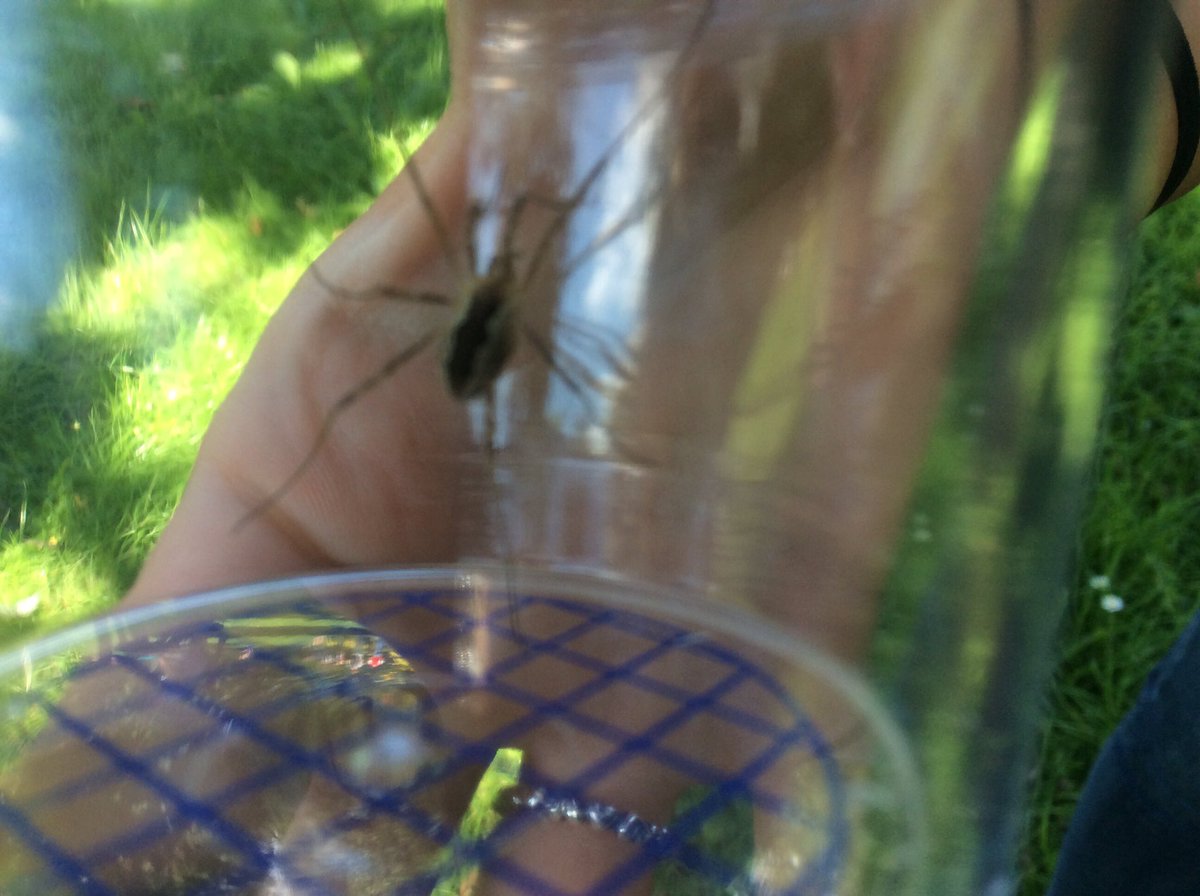think_week's tweet photo. BUG HUNT https://t.co/anZqJ8YKV2