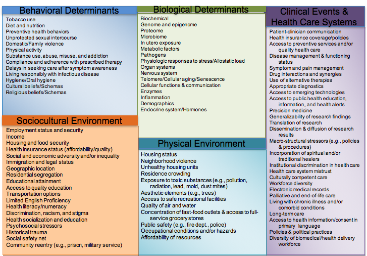 Framework to examine #healthdeterminants at individual, societal, institutional levels #healthdisparities @BWScholars2017 @NIMHD