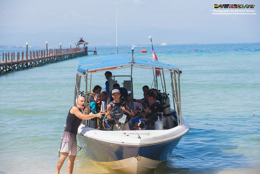 divedownbelow's tweet photo. Lucky Richard got iz camera coz @CampBorneo grps #Tapayas &amp; #Olumis had #TurtleDive @divedownbelow ;) #Learn2Dive https://t.co/5iTL4pU610 https://t.co/dMCIE7HfVx