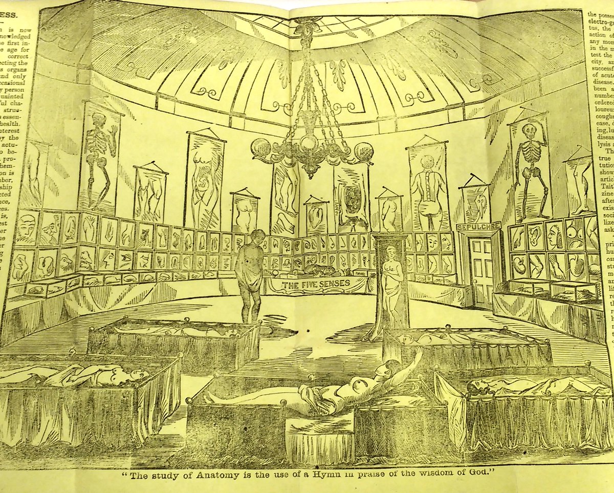 HunterianLondon's tweet image. Would you be tempted to look? #MedHist #humananatomy #waxmodel #anatomicalvenus #morbidanatomy #macabre #LibraryBlog ow.ly/XZxb30ealVE