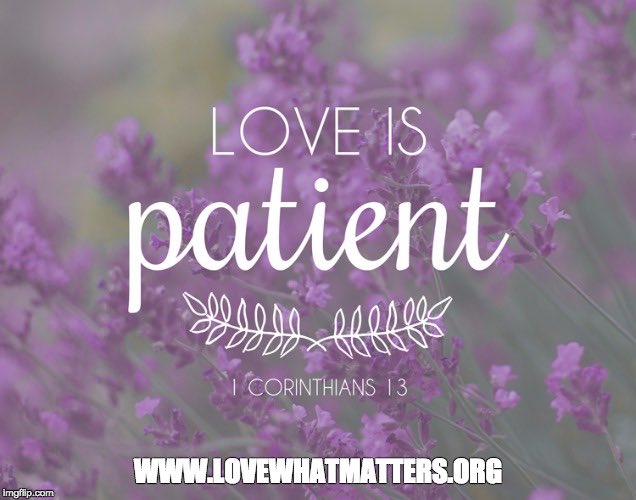 LWM_Book's tweet photo. Who do you need to practice more patience with? #LoveisPatient #lovewhatmattersbook #fridaythoughts https://t.co/TAJlr7q6Qf