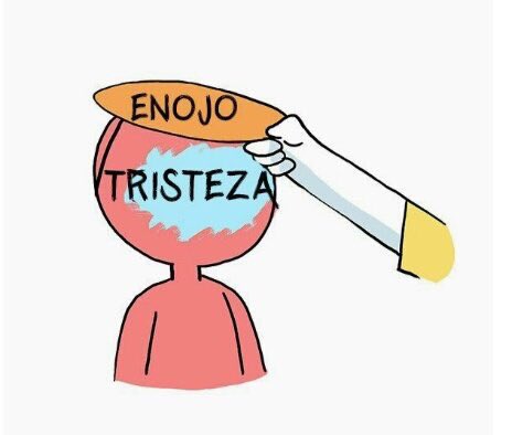 lndirecto's tweet photo. La imagen habla por si sola. https://t.co/ySJ8kMLLc9