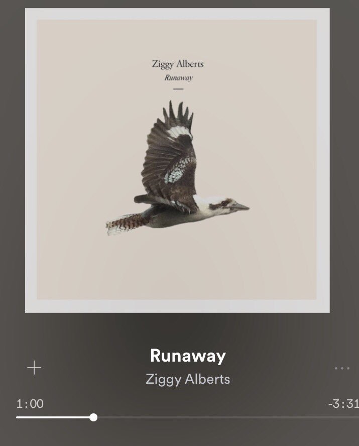 Sad not here for the London gig #ziggyalberts