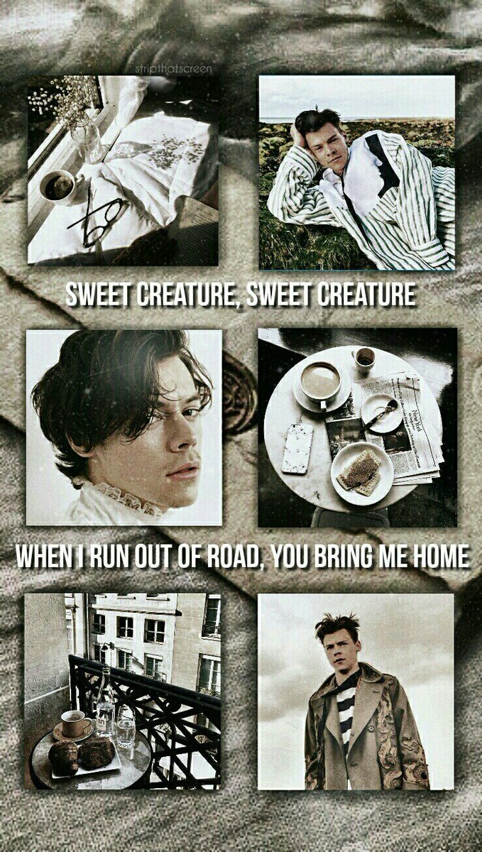 stripthatscreen's tweet image. 💜FREE Harry Styles LOCKSCREENS!

💙RT if you saved it

💚 #MTVHottest Harry Styles 

Jay💕