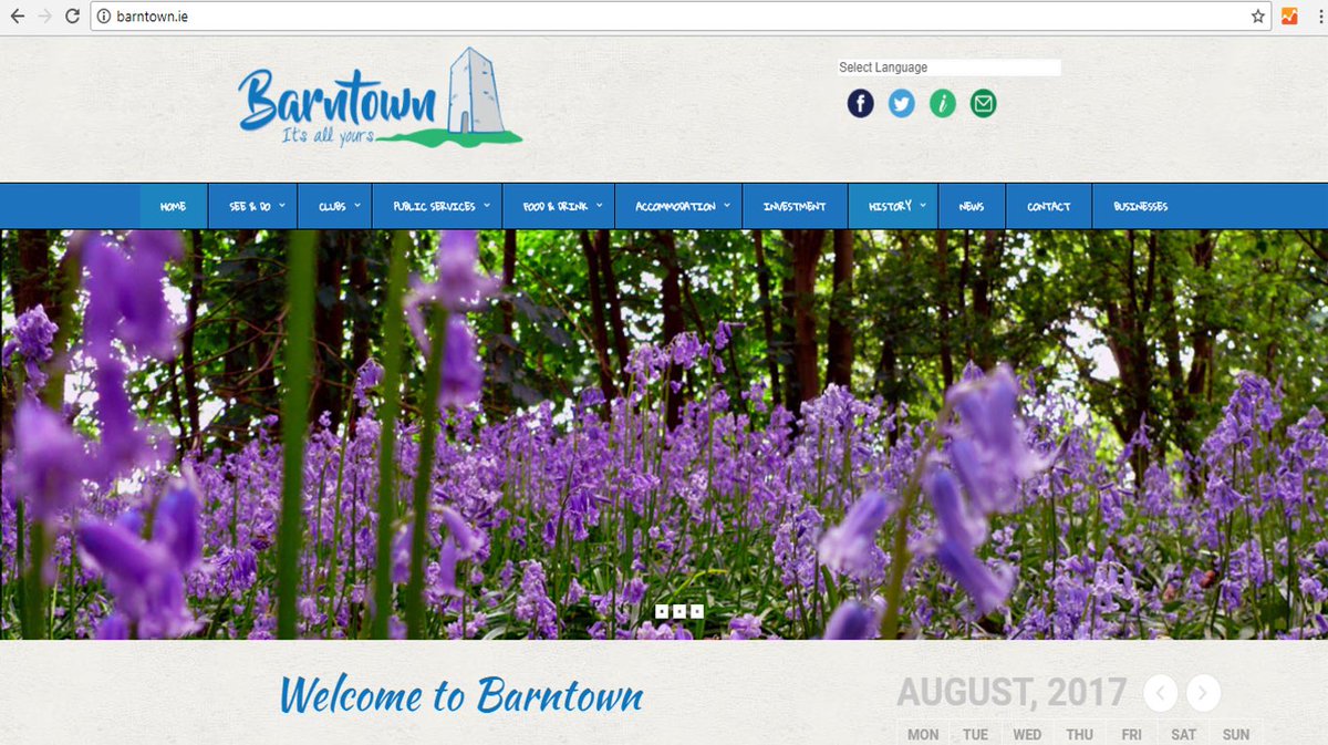 The website is being launched on Sunday 7th August 2017. To visit simply click on the following link barntown.ie