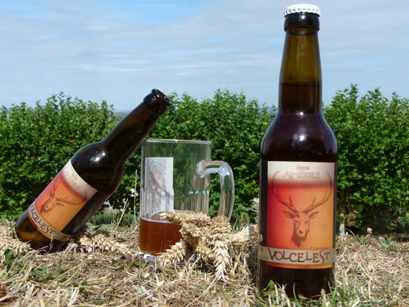 Les_Yvelines's tweet photo. #InternationalBeerDay Rencontre avec E. Rey créateur de la #Volcelest, la bière brassée dans la Vallée de Chevreuse: https://t.co/DuXLD6cPmT https://t.co/WpwepQLnmz