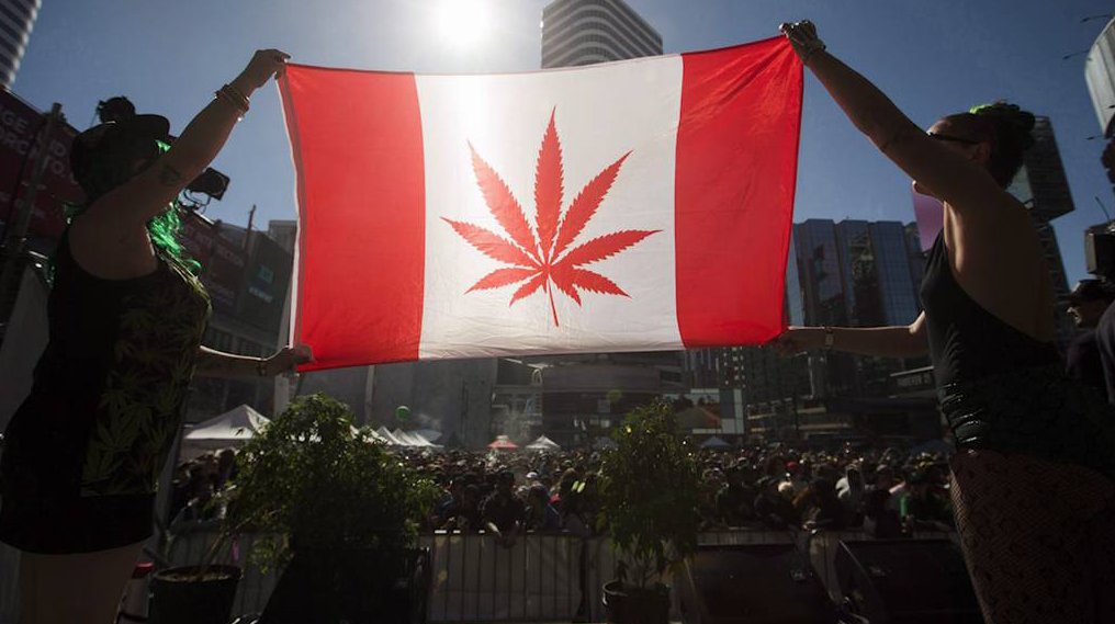 MaryjaneReport's tweet photo. "You Soon May Not Be Able to Trade Canadian #PotStocks With US $"

https://t.co/O3f0MTmIEM

#CDS $ACBFF $TWMJF $APHQF #Cannabis #Hemp https://t.co/vR1meTjMp4