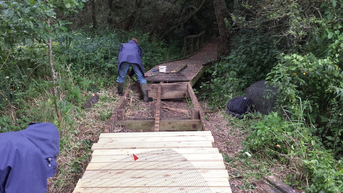 KyleJennings24's tweet photo. Boardwalk repairs, new signs and Brushcutting with a view this week. #Ledermantrainee @SussexWildlife https://t.co/RD57Ofl1f0