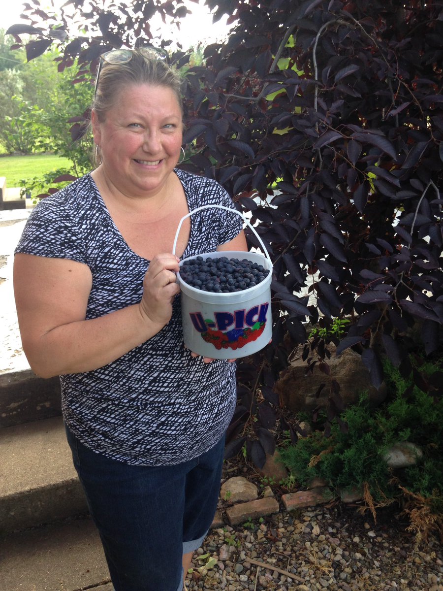 SaskatoonVille's tweet photo. The official last #saskatoonberrypail https://t.co/TUUW0wZ1uB
