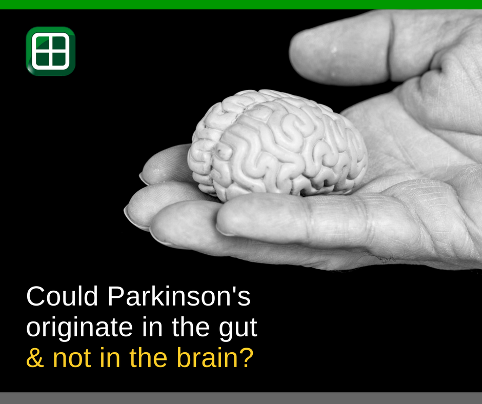 TechnolineMalta's tweet photo. New research in mice &amp; human cells suggests #Parkinson’s may originate in the gut not the brain https://t.co/wG1wlZ5uKJ #TechnolineMalta https://t.co/BzQaD6Ar1W