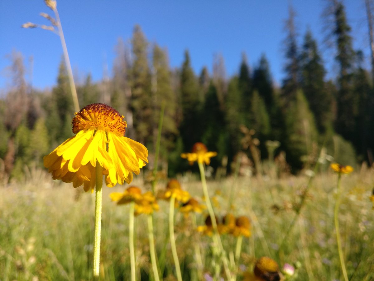 futurehome tweet media