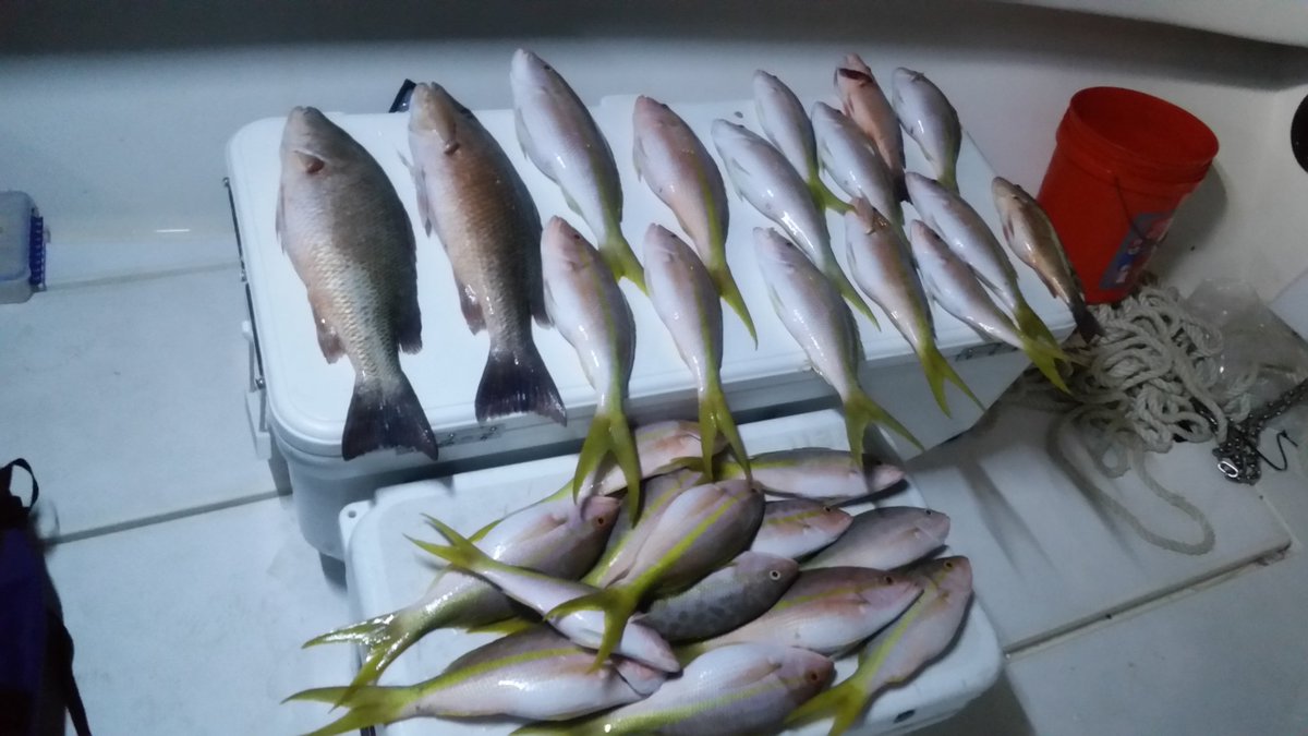 hayden_karl's tweet photo. About last night Catching some nice tails  #hatemondaystavern #hatemondays https://t.co/C2vggTp2uJ
