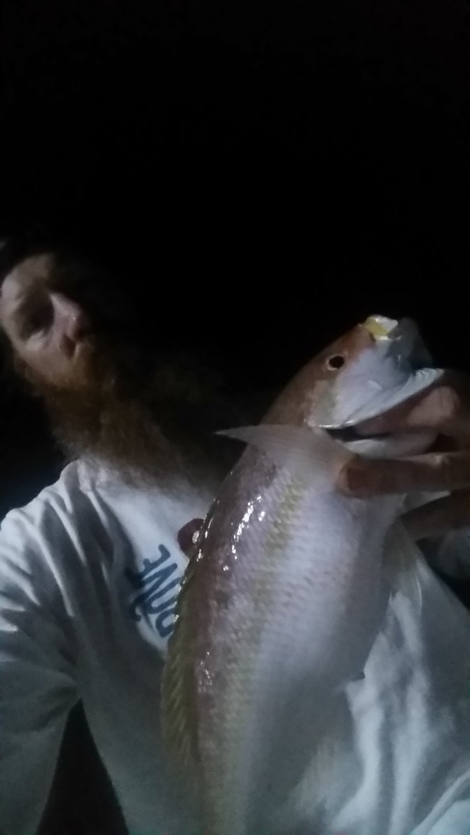 hayden_karl's tweet photo. About last night Catching some nice tails  #hatemondaystavern #hatemondays https://t.co/C2vggTp2uJ