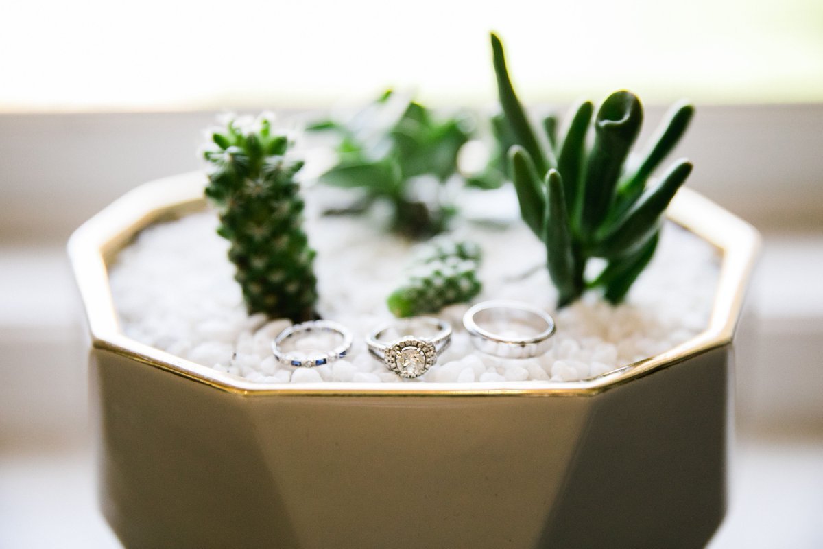 Its Floral Friday y'all ! Simple succulents and cactuses can add an elegant touch to your wedding without being over the top!