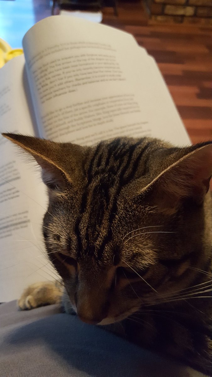 jabrick's tweet photo. @BethMooreLPM I was house sitting, when this one decided to help me with #EntrustedStudy. https://t.co/r9DQ0EorEr