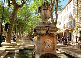 terravana83's tweet photo. Découvrez La #Provence, ce magnifique terroir riche en essences authentiques - https://t.co/dnYBD4HwMS https://t.co/taLqUE66NG