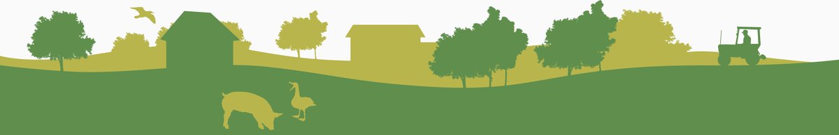 mystartups_de's tweet photo. Neues #startup auf #mystartups_de die Plattform #bei-mir-um-die-ecke.de

https://t.co/ewf3bY0E6X https://t.co/2mJ50J29vV