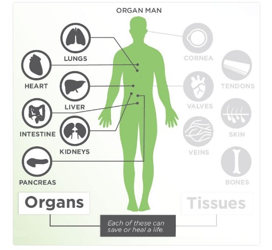 125Lives's tweet image. Sometimes it just takes one donor to make a huge impact. #DonateLife #HelpMany
