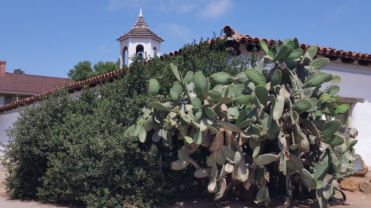 CaStateParksSD's tweet photo. Join us at #StagecoachDays tomorrow @OldTownSanDiego for a feature on #Periscope highlighting Trades of the 1800s! https://t.co/YeHxDmBPiu