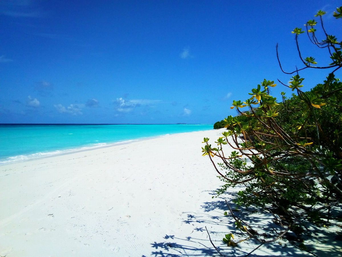 pbmaldives's tweet photo. Have a blessed Friday...

Photo by Mohamed Abdulla Terry https://t.co/aCZTJ6R3A4