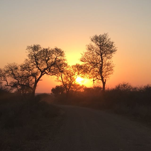 AndreOosthuizen's tweet photo. Do what others say you cannot do and you will never pay attention to their limitations again. https://t.co/BjcKTo2rTu