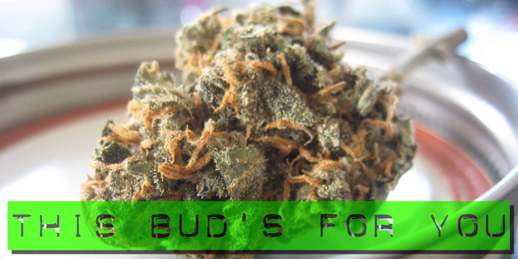 FunkSac's tweet photo. This bud's for you! Happy #internationalbeerday #Weed rather fresh bud in our #FunkSac #cultivation #weedstorage #gotFunk #cannabisbags https://t.co/3zfFDTz54W