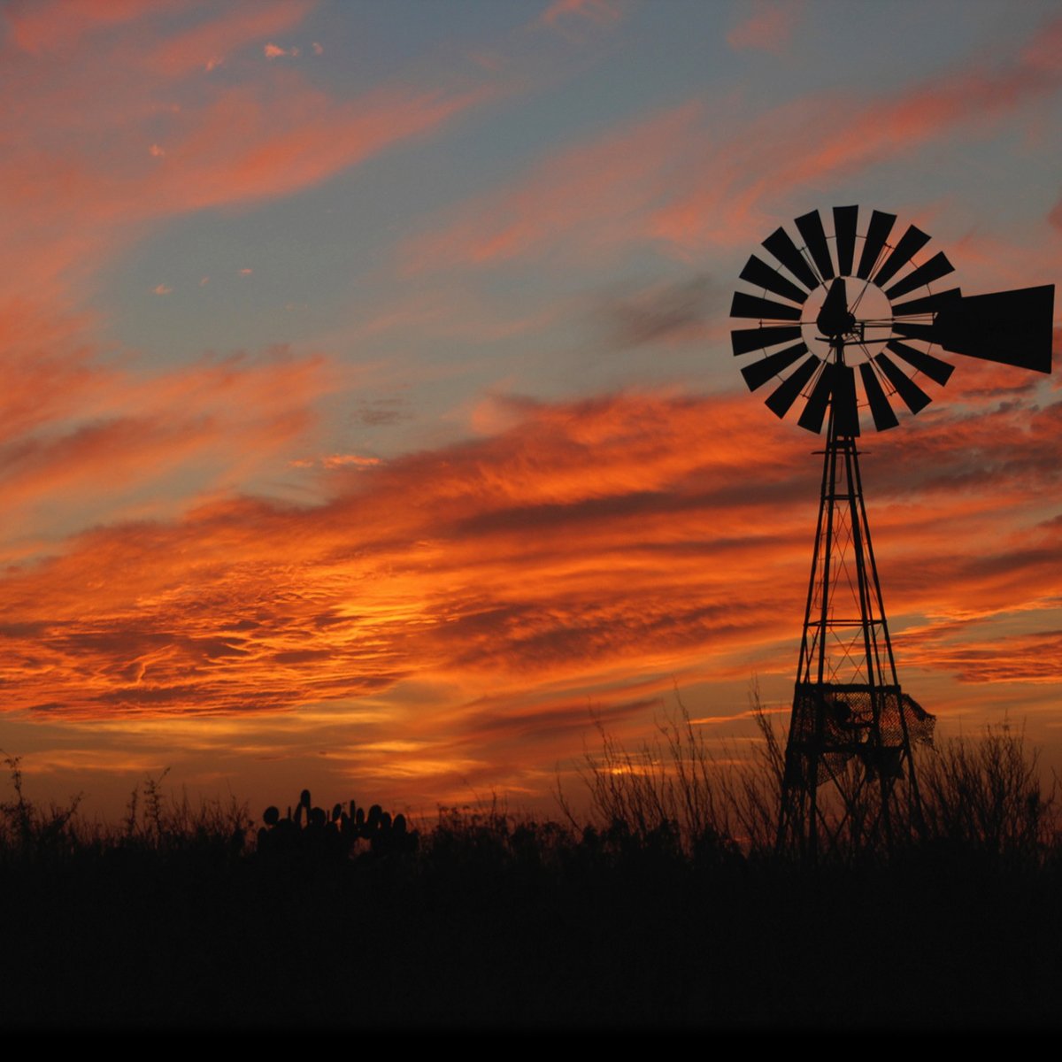 Magtech Ammunition tweet media