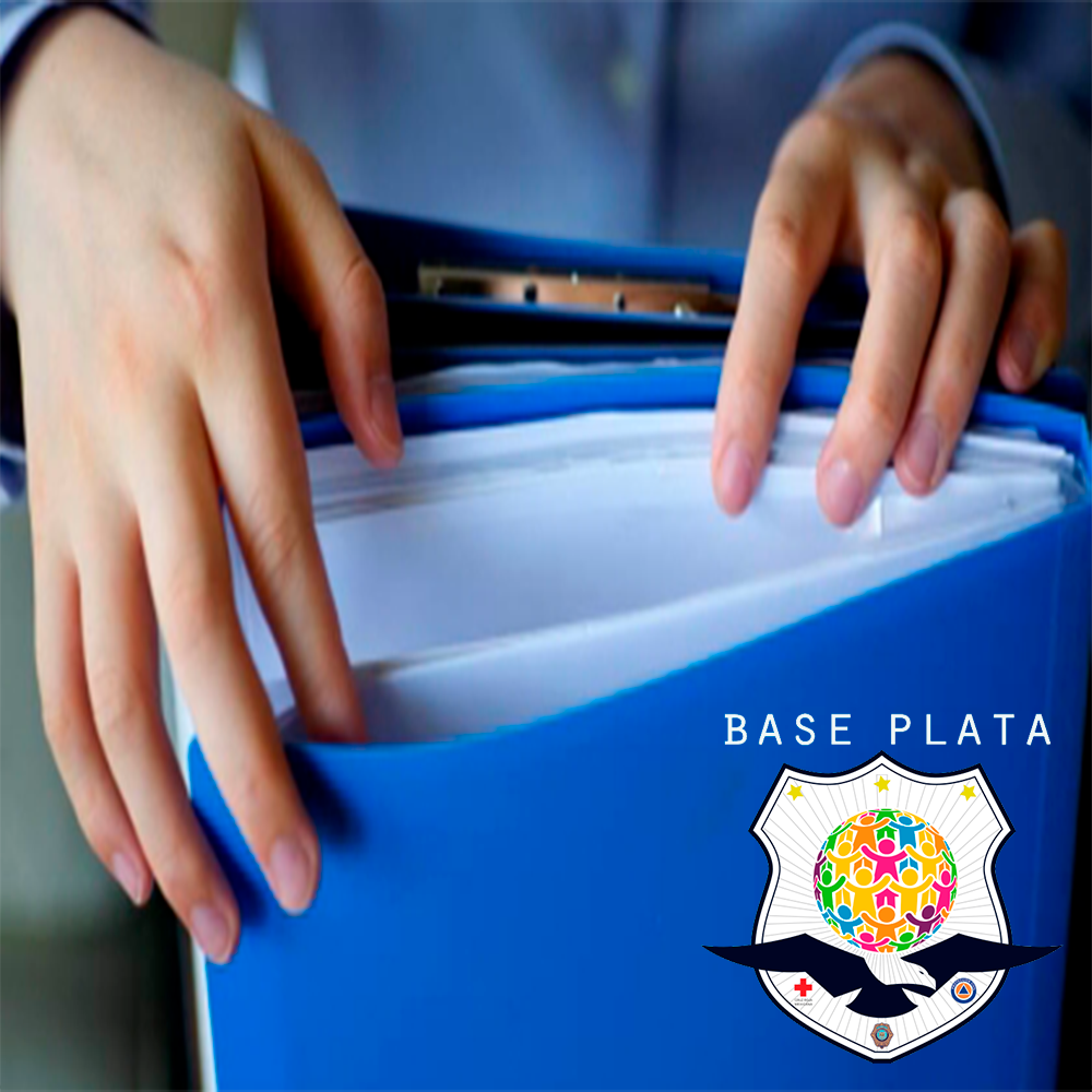 Base Plata tweet media
