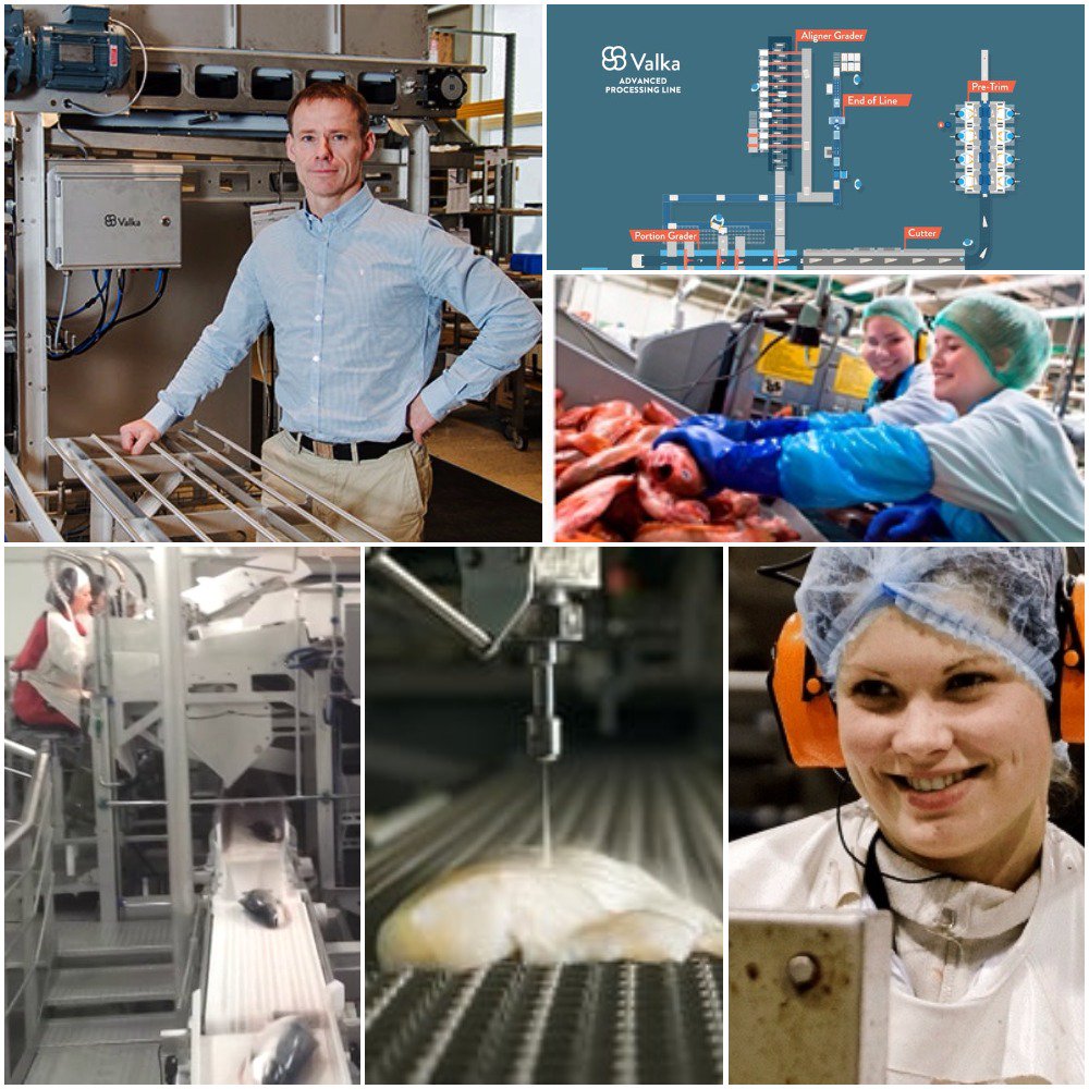 Icefish_IS's tweet photo. The Icelandic high-tech company Valka provides the fishing industry with new and innovative solutions. #IceFish17
https://t.co/BKA7B6YLxk https://t.co/KD7EuRGYaC