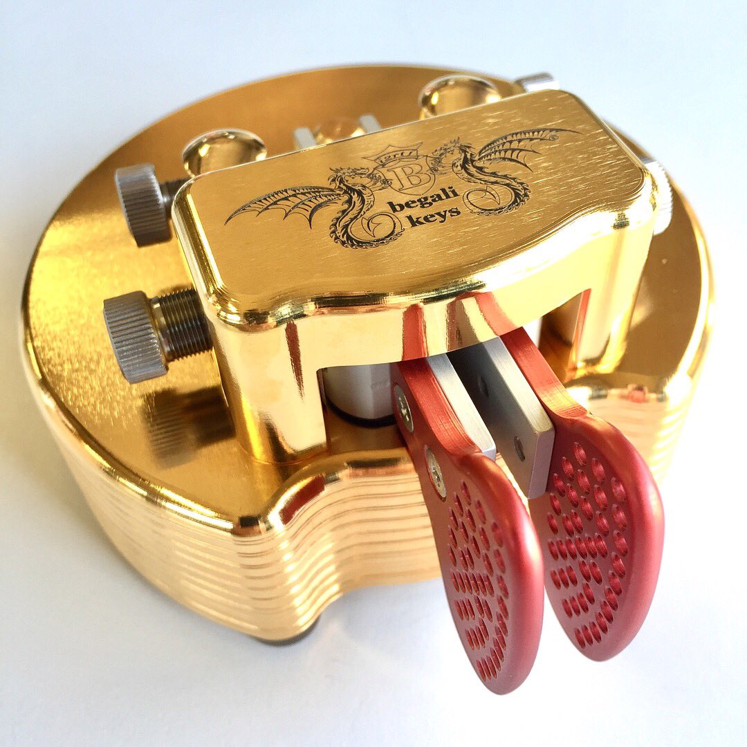 Bruna Begali tweet media