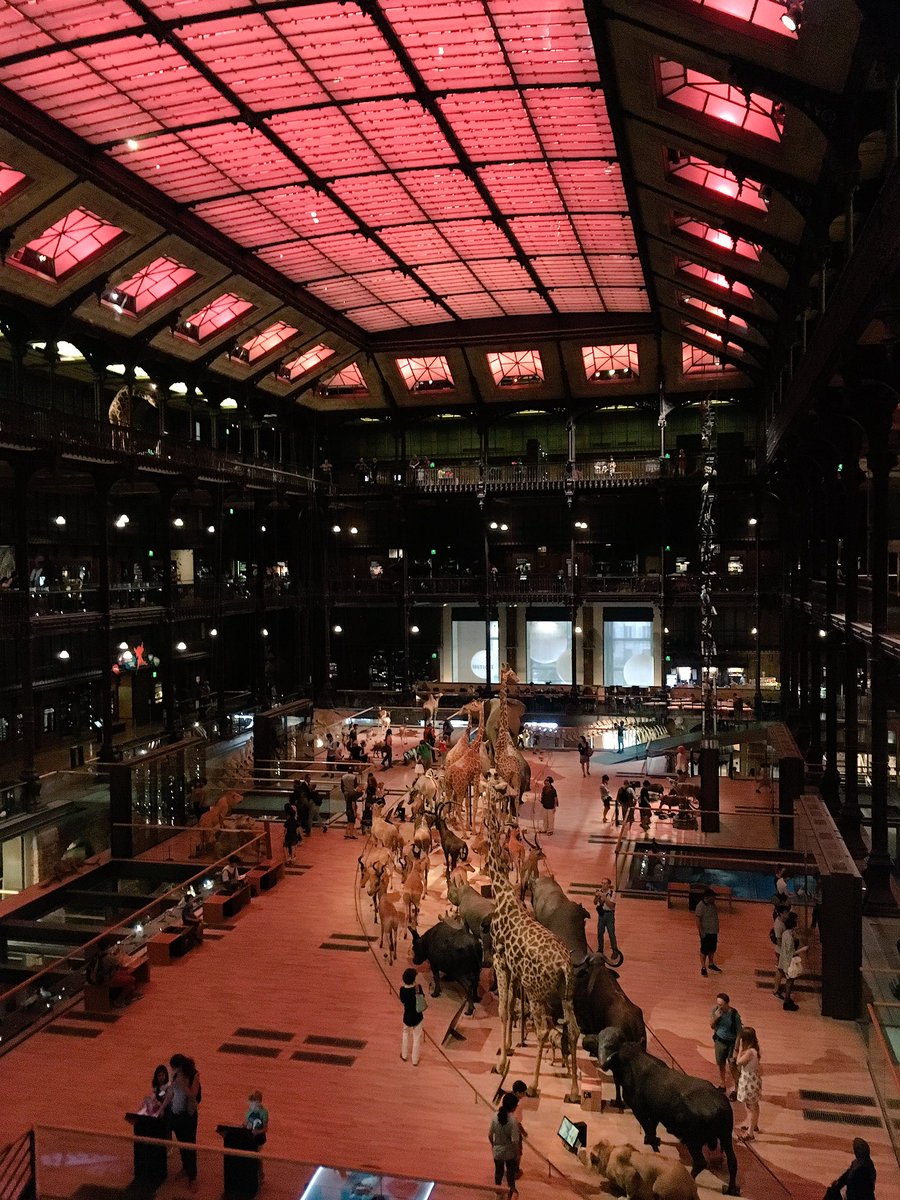 RonanBretel's tweet photo. Avoir 5 ans 😍
#galeriedelevolution
@Le_Museum https://t.co/vY8I3MEyLp