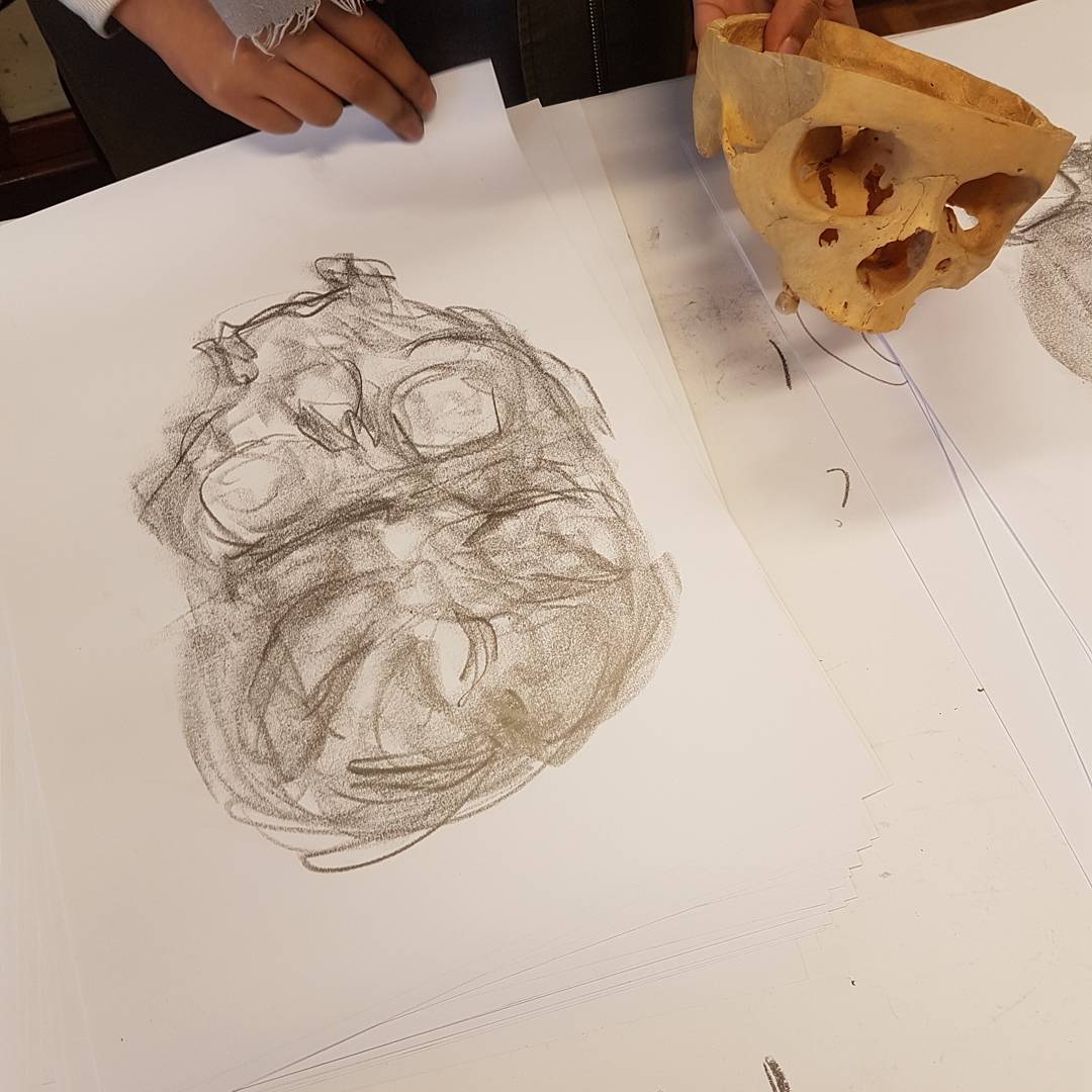 leonard_shapiro's tweet photo. Medic students observing using touch & sight with simultaneous drawing. Increased awareness of relationship between elements of an anat part https://t.co/JN6S6H9Wx7