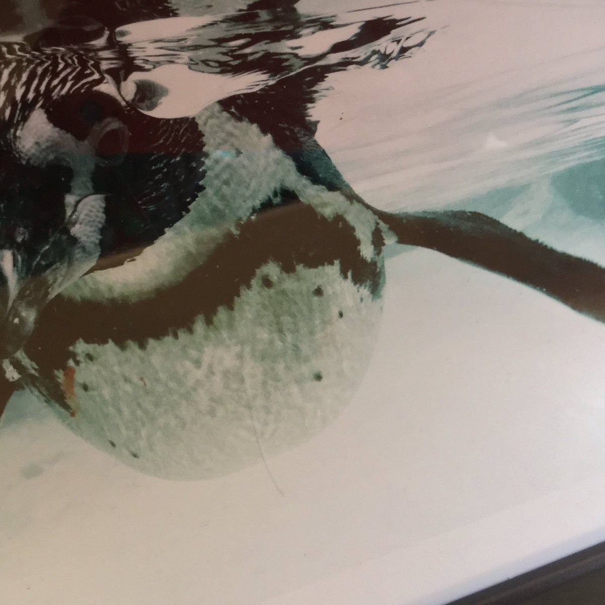 Killick Stores tweet media