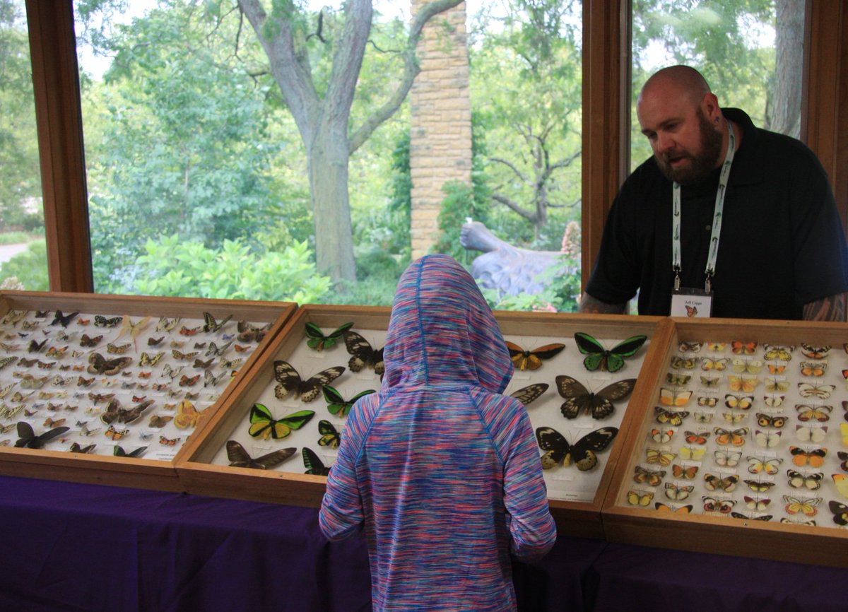 It's Butterfly Action Day until 2 pm today! Learn about how you can help monarchs with info and resources from local monarch organizations.