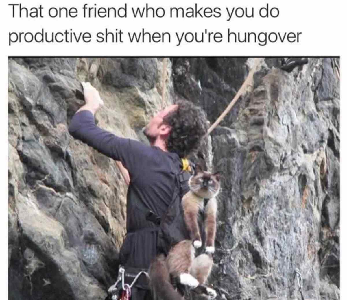 womenshumor's tweet photo. Let me be hungover in peace... https://t.co/LMj7jlK1pB