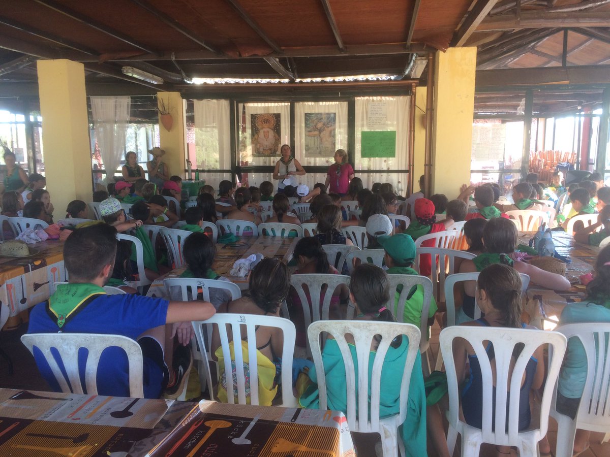CAMPAMENTO VERA-CRUZ tweet media
