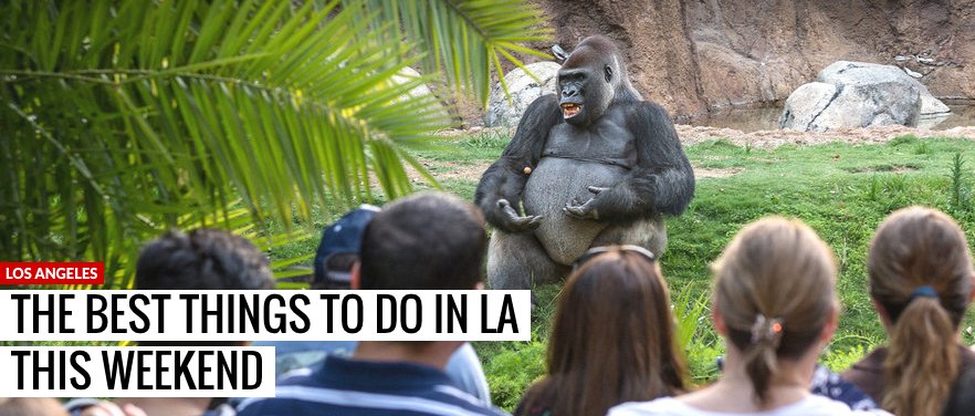 Take all your big plans and break 'em, cuz this weekend is a wonderland: thrillist.com/events/los-ang…