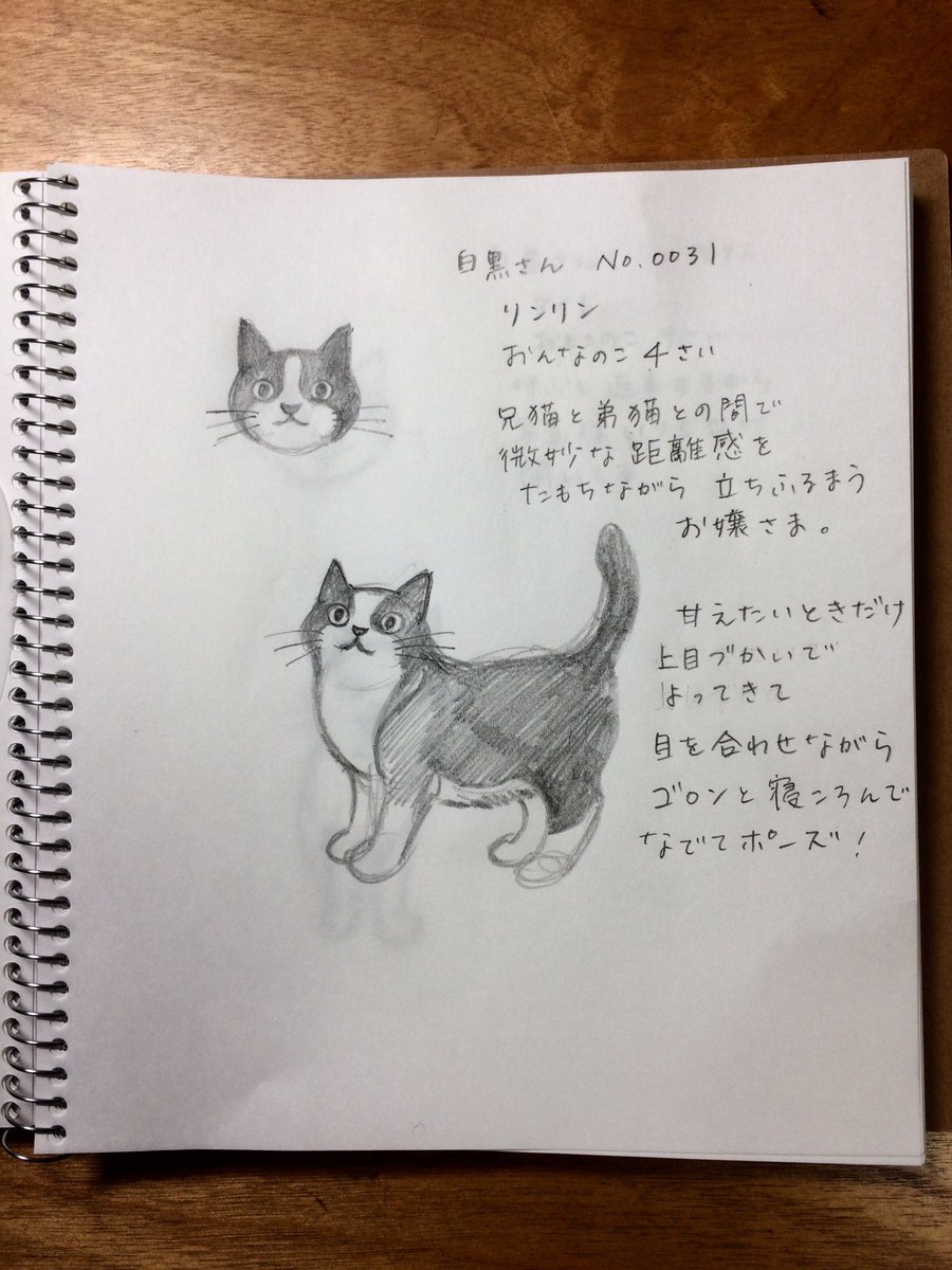 プリチーなねこ、リンリンのイラストを描きました! 