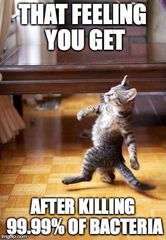 Aquavert_Clean's tweet photo. This cat just used https://t.co/eY4tG1aCle https://t.co/tGWXKjIaEz