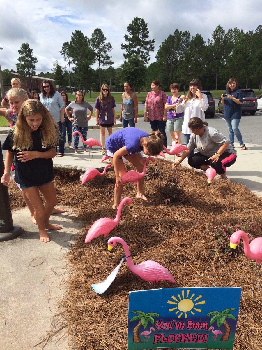 PGEVikings's tweet photo. The flock's all here to say have a good year at the Grove! @PGMVikings #flamingoflocking #OneLowndes https://t.co/yGJovhk088