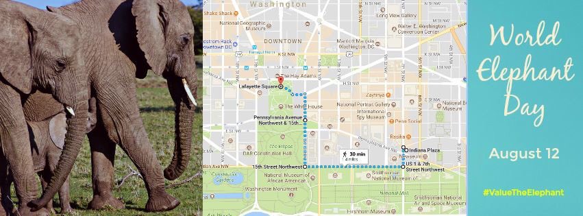 elephantsdc's tweet photo. Children learn 'E' is for 'Elephant' β not 'Extinction!' ππ https://t.co/16EO3A2gOd
#IvoryFreeDC
#ValueTheElephant
#WorldElephantDay https://t.co/RKkDR49ZrR