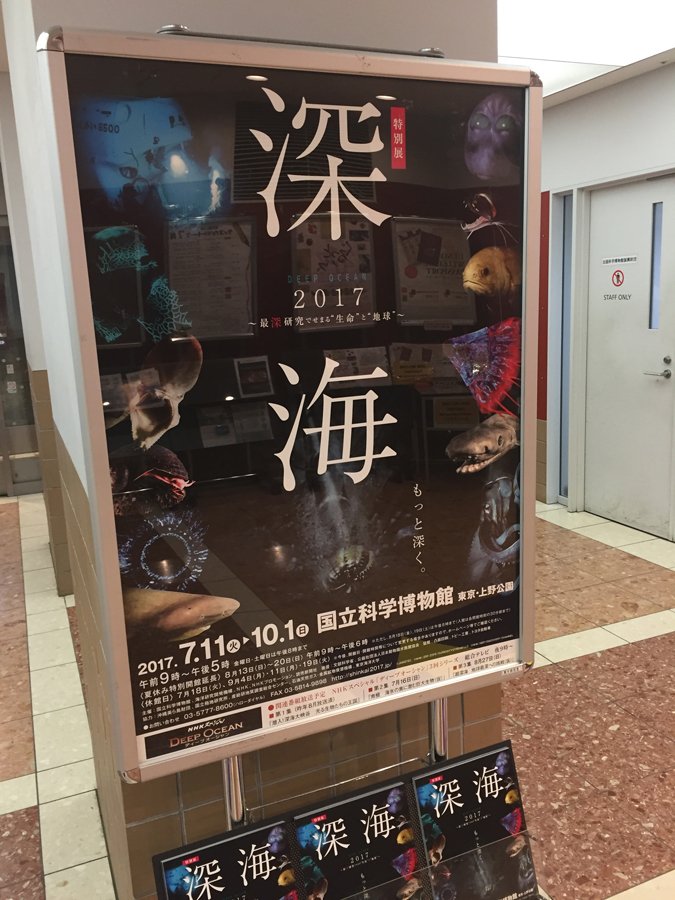 recycle_tifana's tweet photo. 【深海展に行ってきました!】
↓続きはこちら↓
https://t.co/IUj5wkmrpb
#リサイクルショップティファナ #阿佐ヶ谷パールセンター店 #リサイクルショップ #ティファナ #買取 #tifana #recycle #古着 #深海展 #シロナガスクジラ https://t.co/mM1fOJcE91