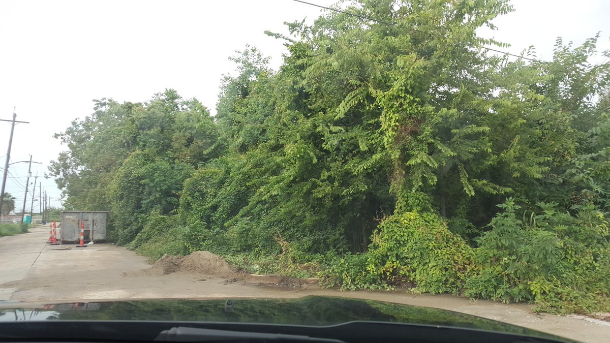 Vote4Cyndi's tweet photo. We still have neighborhoods in District E that need major help. Heartbreaking to see, ready to get to work #WinwithNguyen #Vote4CyndiNguyen https://t.co/6WqQsYFUiF