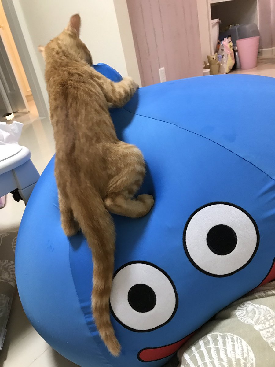 @shoko55mmtsの画像