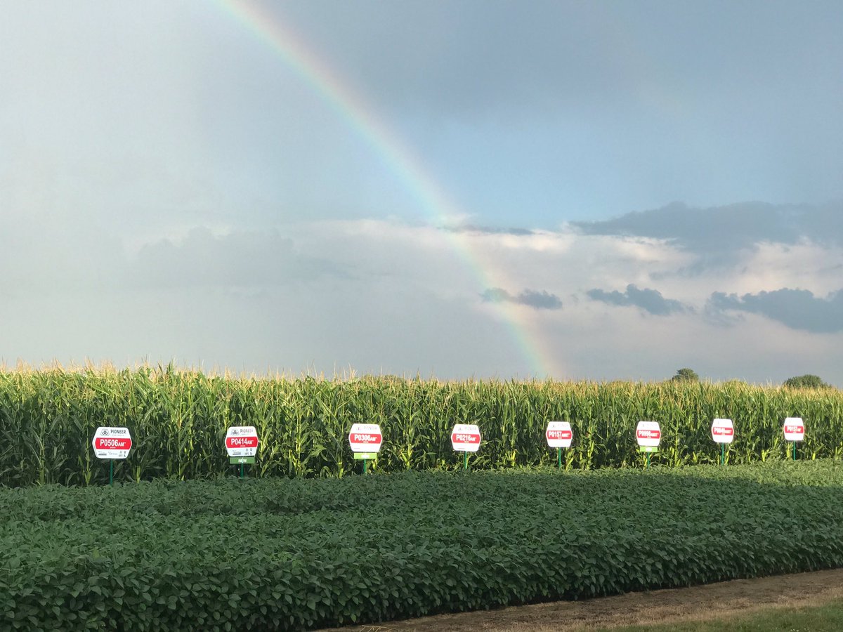 BetterFields's tweet photo. A beautiful rain over the plot! https://t.co/8Ak3AQGogJ