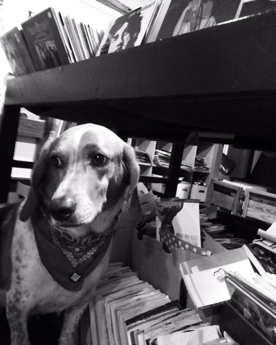 Half off in the Digger's Room for the rest of August! Come say hi to Jasper and dig away!