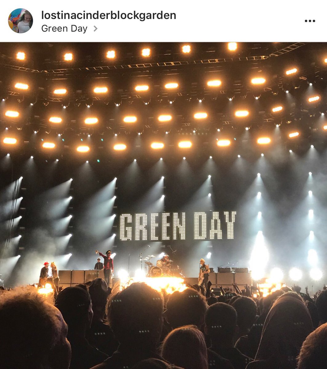 tryhardholiday's tweet photo. Sometimes dreams really do come true ☺️💚 https://t.co/niUeLY2INf