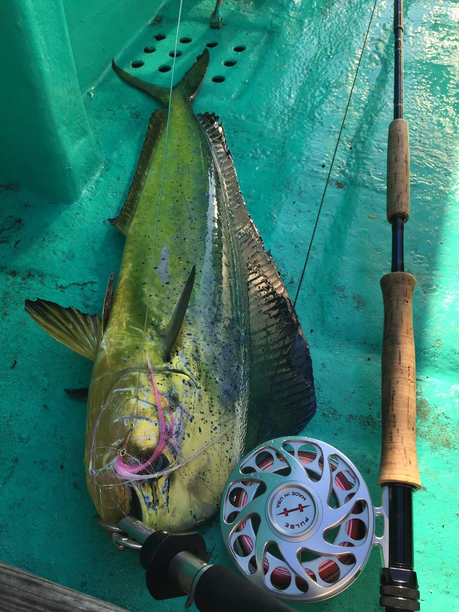 マグロハンター Tunahunter7 Twitter マグロハンター Tunahunter7 Twitter